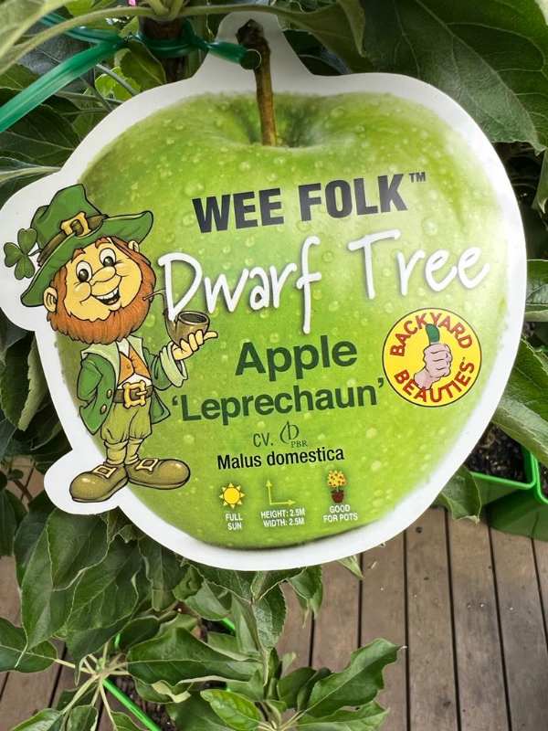 Dwarf Granny Smith Apple Leprechaun Neth Green